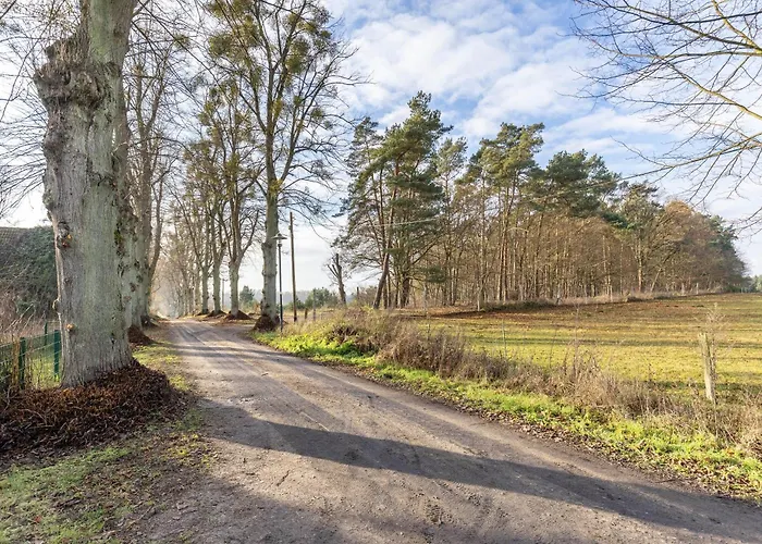 Semesterbostad In Wald- Und Seenaehe Templin